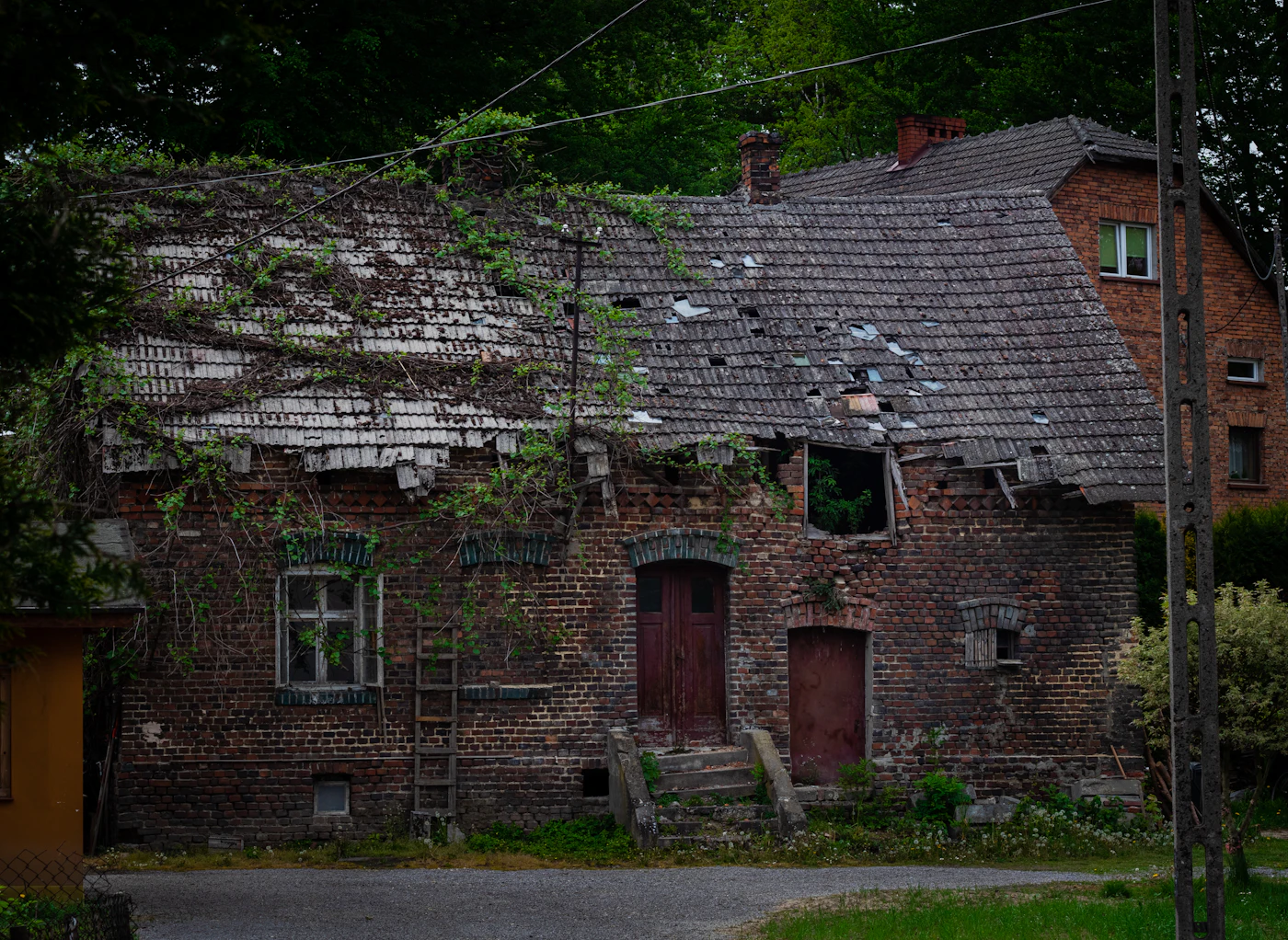 Antiga casa de tijolos coberta de vegetação